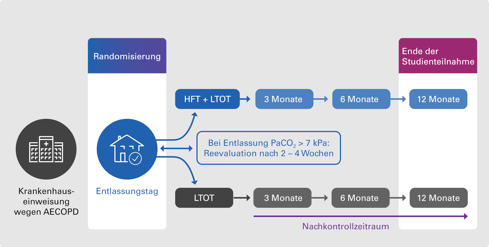 Grafik-Webseite-Randomisierung