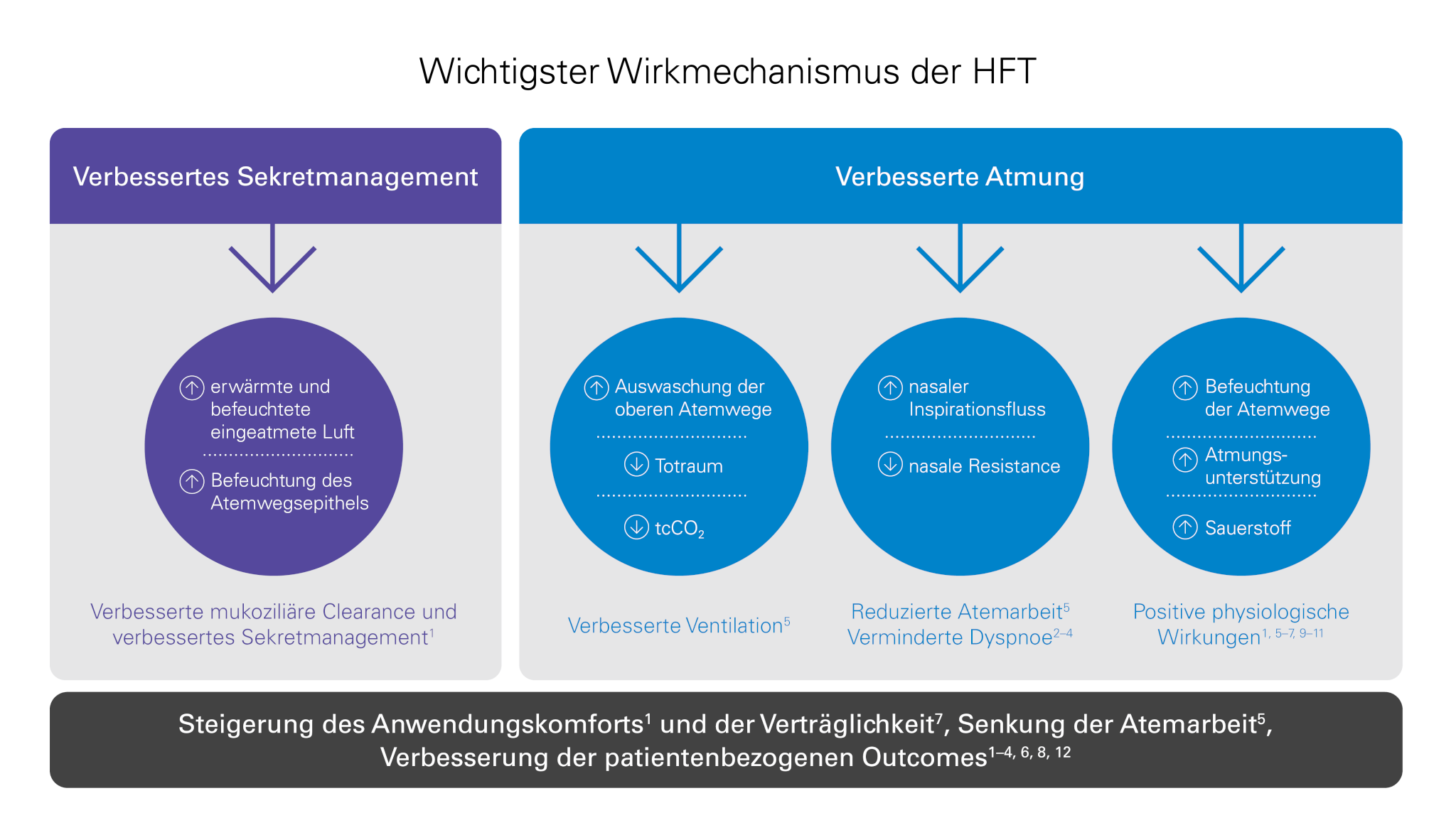 Wirkmechanismus-High-Flow-Therapie-klinischer-Nutzen